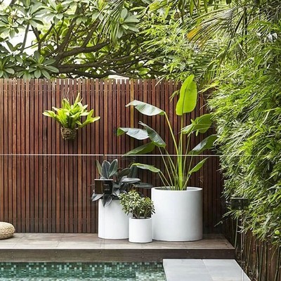 Plant pots Plant pots