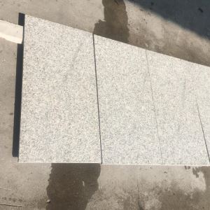 Fantastik Gri Granit
