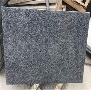Popüler Koyu Gri G654 Granit